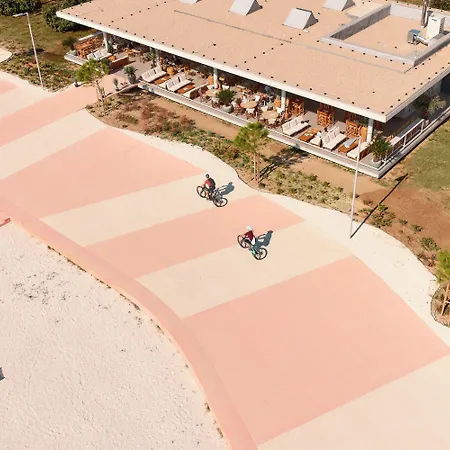Sun & Palms سبليت