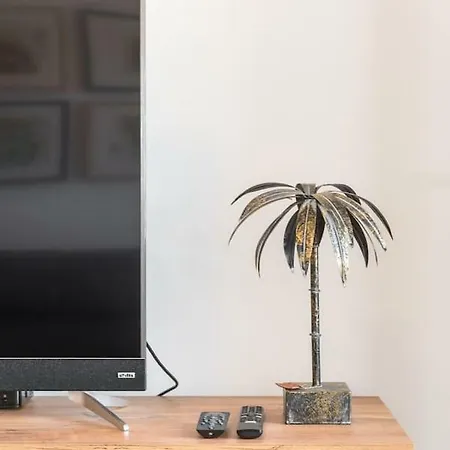 Sun & Palms * Split
